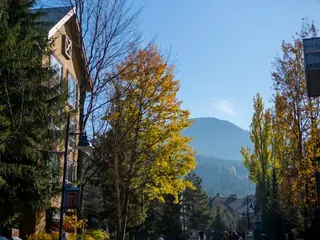 A Vancouver street scene