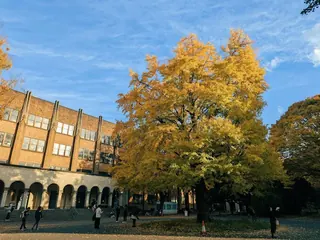秋のキャンパスの景色