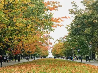 秋のキャンパスの景色