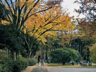 秋のキャンパスの景色