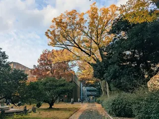 秋のキャンパスの景色